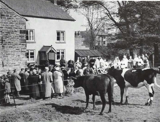 Rylance Mill Farm